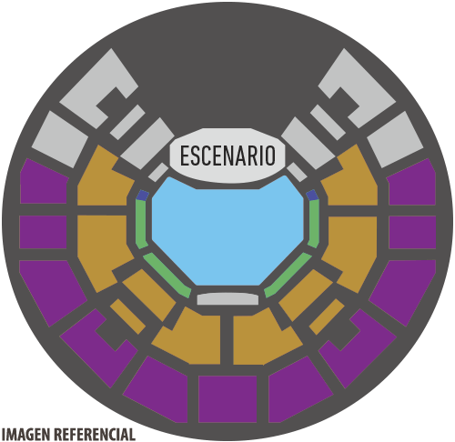 Teatro Caupolicán | Imagen referencial